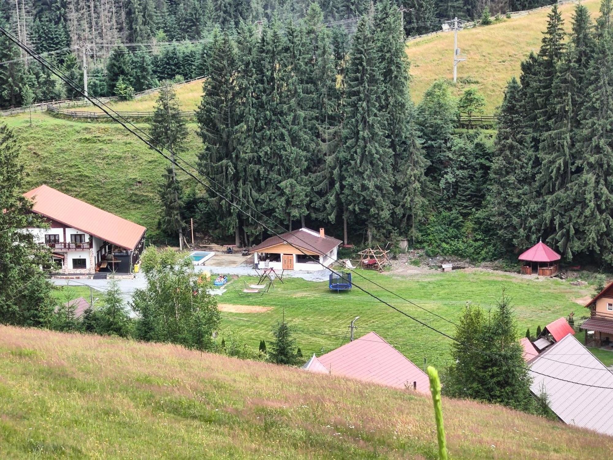 Pensiunea Trei Brazi Арьешени Экстерьер фото